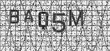 Visual Confirmation Security Code