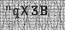 Visual Confirmation Security Code