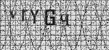 Visual Confirmation Security Code