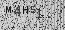 Visual Confirmation Security Code