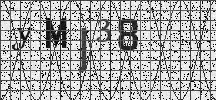 Visual Confirmation Security Code