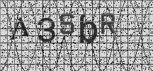 Visual Confirmation Security Code