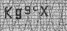 Visual Confirmation Security Code
