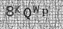 Visual Confirmation Security Code