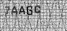 Visual Confirmation Security Code