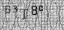 Visual Confirmation Security Code