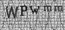 Visual Confirmation Security Code