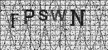 Visual Confirmation Security Code