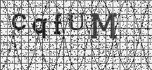 Visual Confirmation Security Code