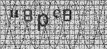 Visual Confirmation Security Code