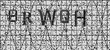 Visual Confirmation Security Code