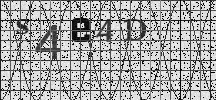 Visual Confirmation Security Code