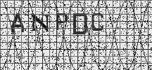 Visual Confirmation Security Code