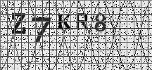 Visual Confirmation Security Code
