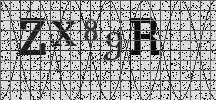 Visual Confirmation Security Code