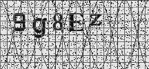 Visual Confirmation Security Code