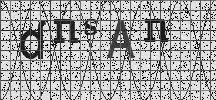 Visual Confirmation Security Code