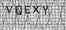 Visual Confirmation Security Code