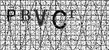 Visual Confirmation Security Code
