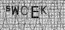 Visual Confirmation Security Code