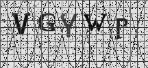 Visual Confirmation Security Code