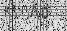 Visual Confirmation Security Code
