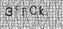 Visual Confirmation Security Code