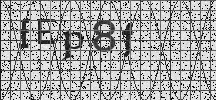 Visual Confirmation Security Code