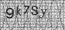 Visual Confirmation Security Code