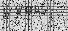 Visual Confirmation Security Code
